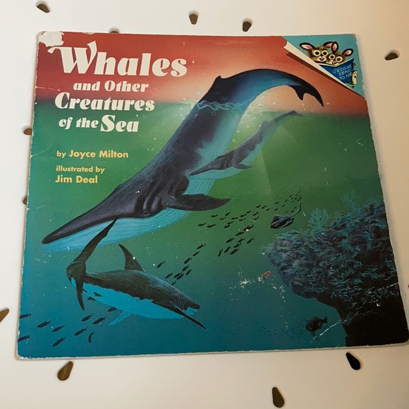 “Whales and Other Creatures of the Sea” kids book - Picture 1 of 16